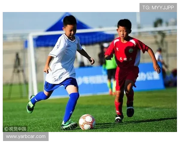 足球青训体系数据造假对人才选拔的长期影响